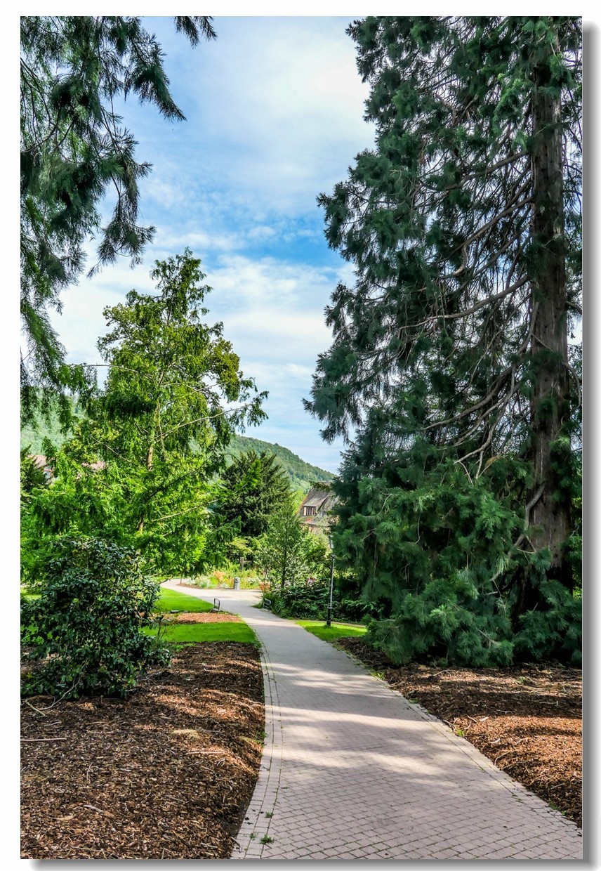 南德之休闲疗养小镇——Badenweiler