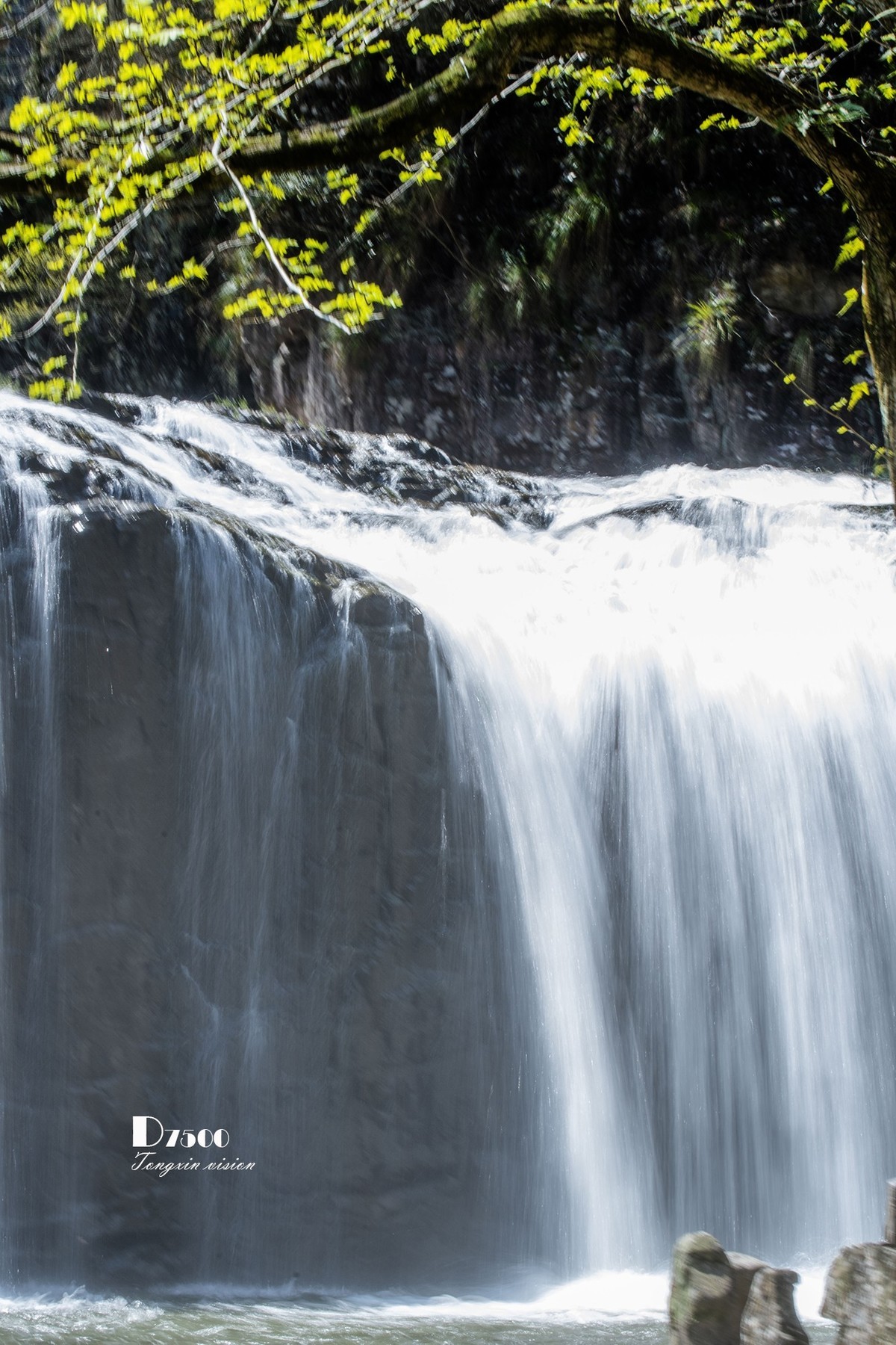 三月下江南——百丈漈（9）