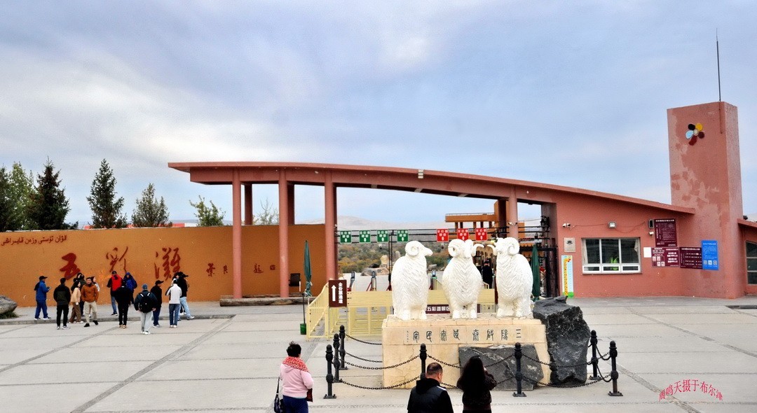 新疆最美雅丹地貌|五彩滩       周鸣天