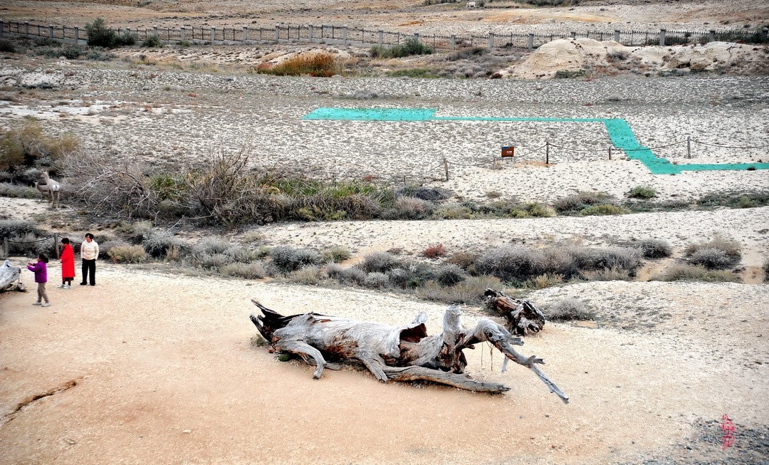 新疆最美雅丹地貌|五彩滩       周鸣天