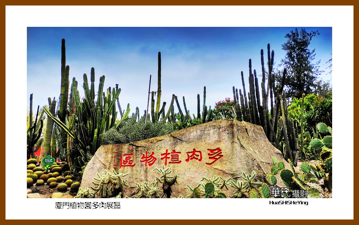 2022南行慢游（福建047）—厦门植物园多肉展区（厦门市）