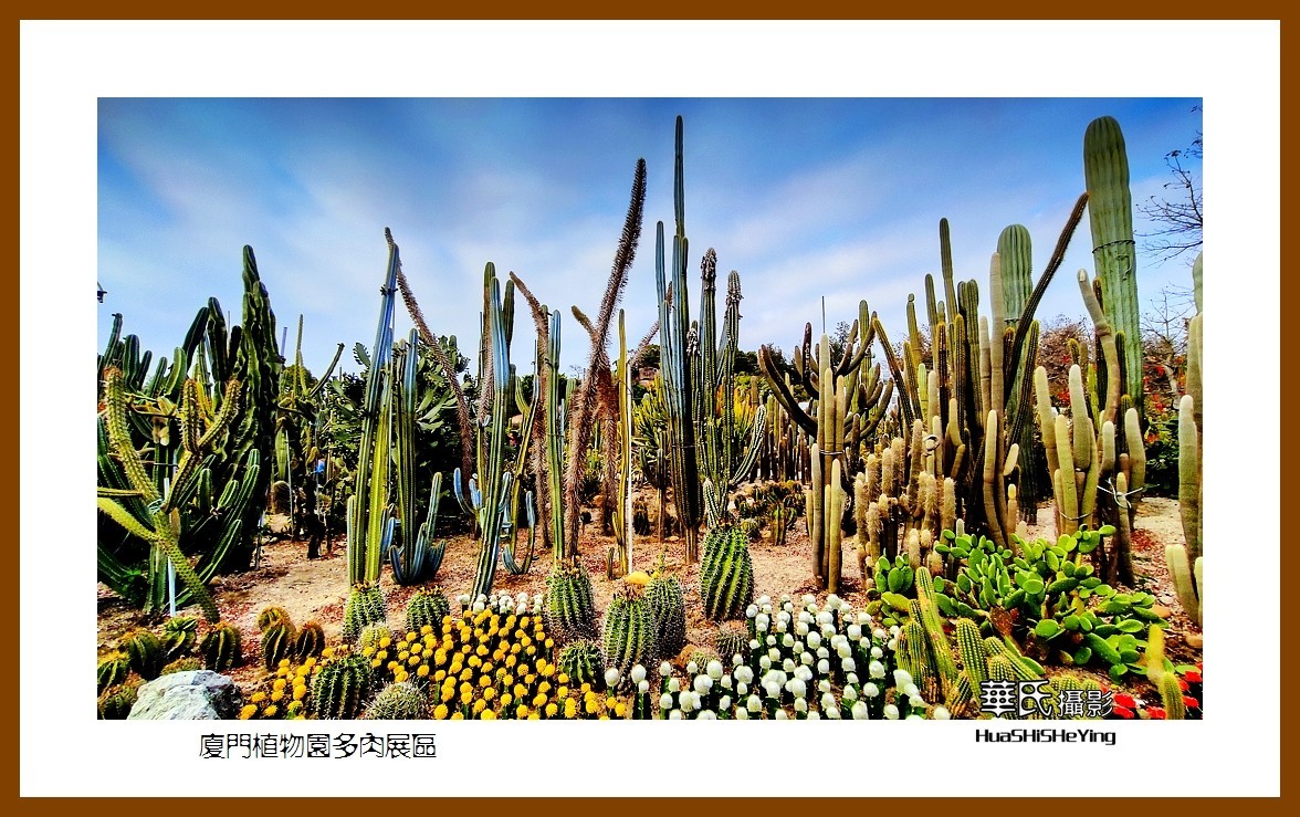 2022南行慢游（福建047）—厦门植物园多肉展区（厦门市）