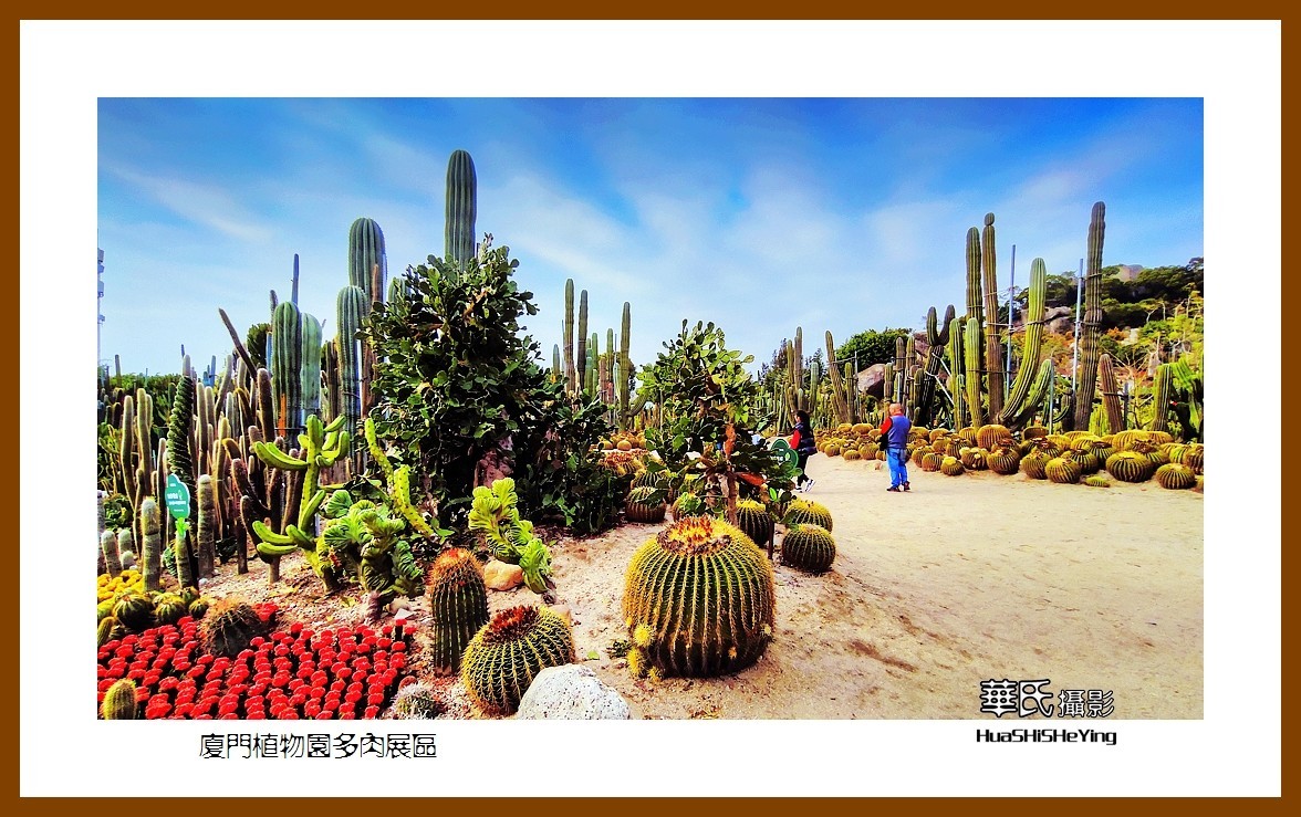 2022南行慢游（福建047）—厦门植物园多肉展区（厦门市）