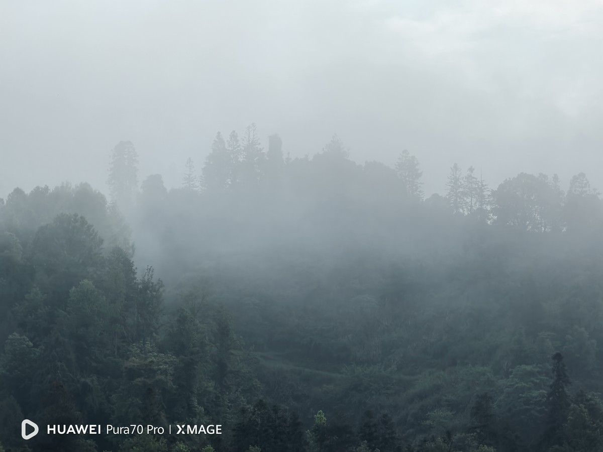 晨雾迷茫白云飘荡