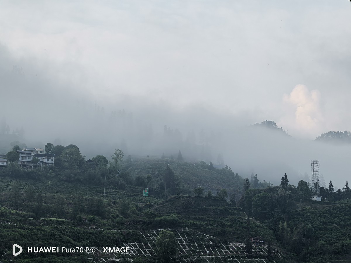 晨雾迷茫白云飘荡