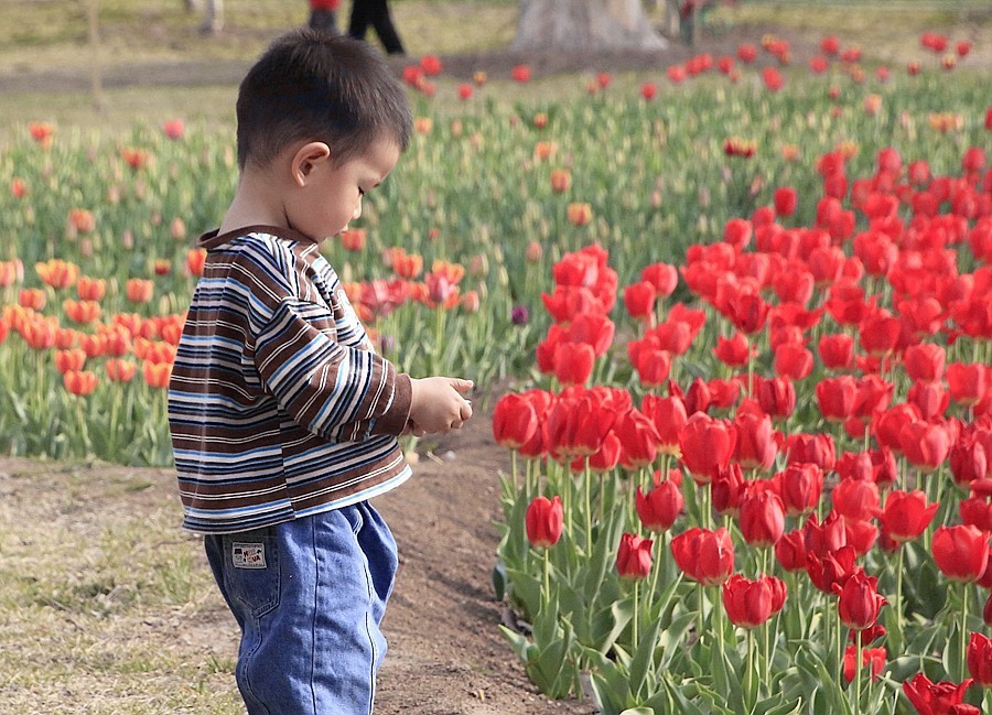 《不老松：纪实摄影》名人植物园：（11）只有小朋友敢进入园内拍花！