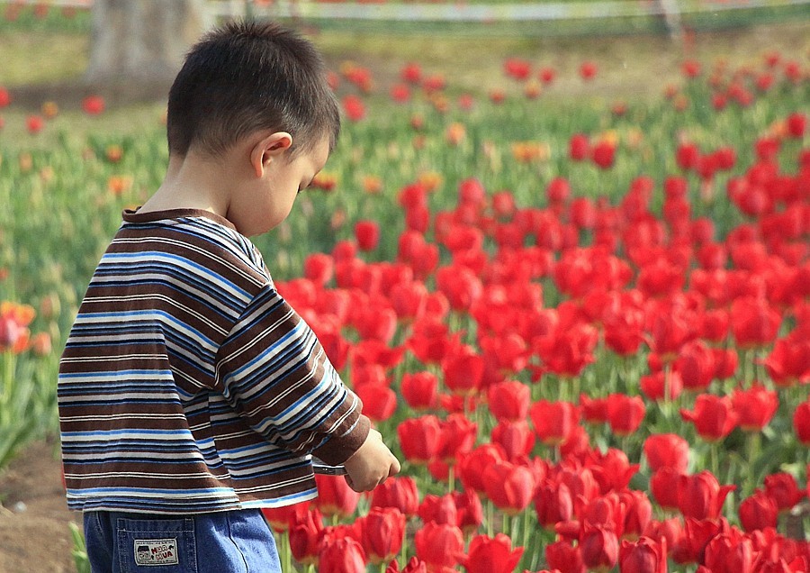 《不老松：纪实摄影》名人植物园：（11）只有小朋友敢进入园内拍花！
