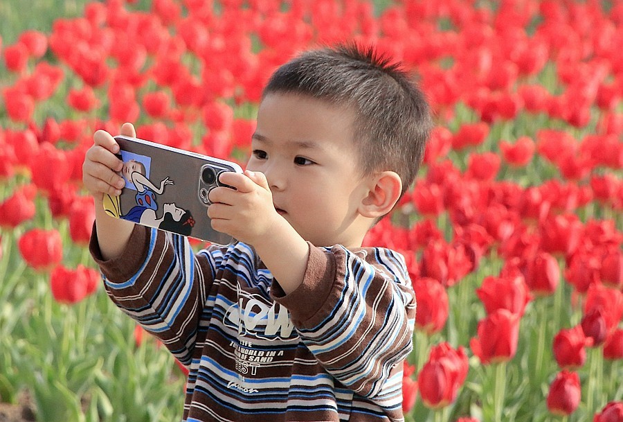 《不老松：纪实摄影》名人植物园：（11）只有小朋友敢进入园内拍花！