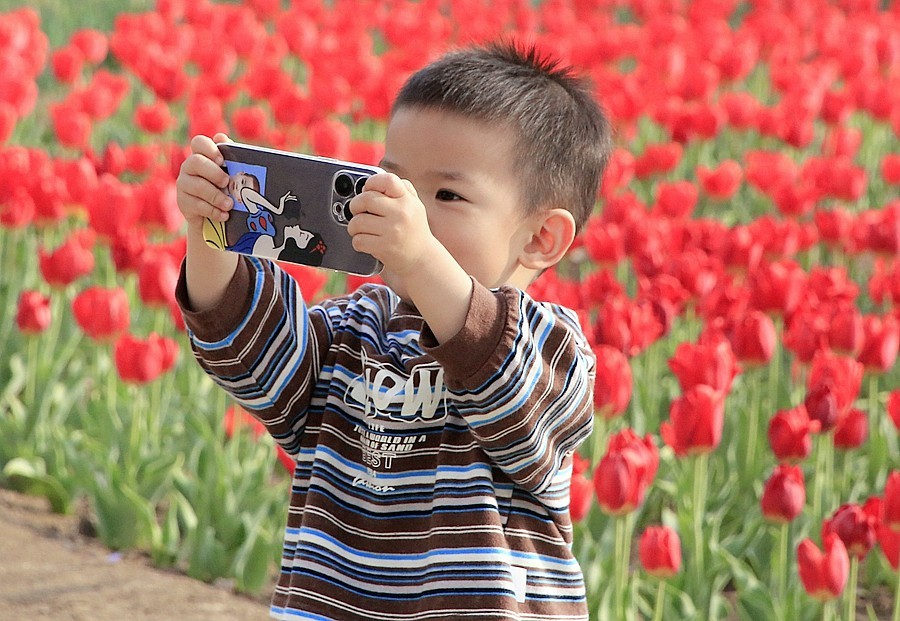 《不老松：纪实摄影》名人植物园：（11）只有小朋友敢进入园内拍花！