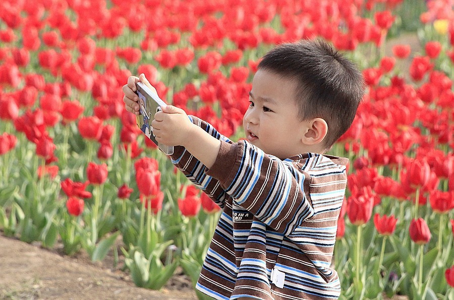 《不老松：纪实摄影》名人植物园：（11）只有小朋友敢进入园内拍花！