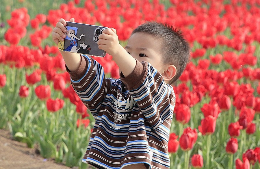 《不老松：纪实摄影》名人植物园：（11）只有小朋友敢进入园内拍花！