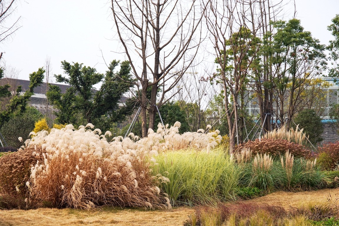 成都天府艺术公园【2】