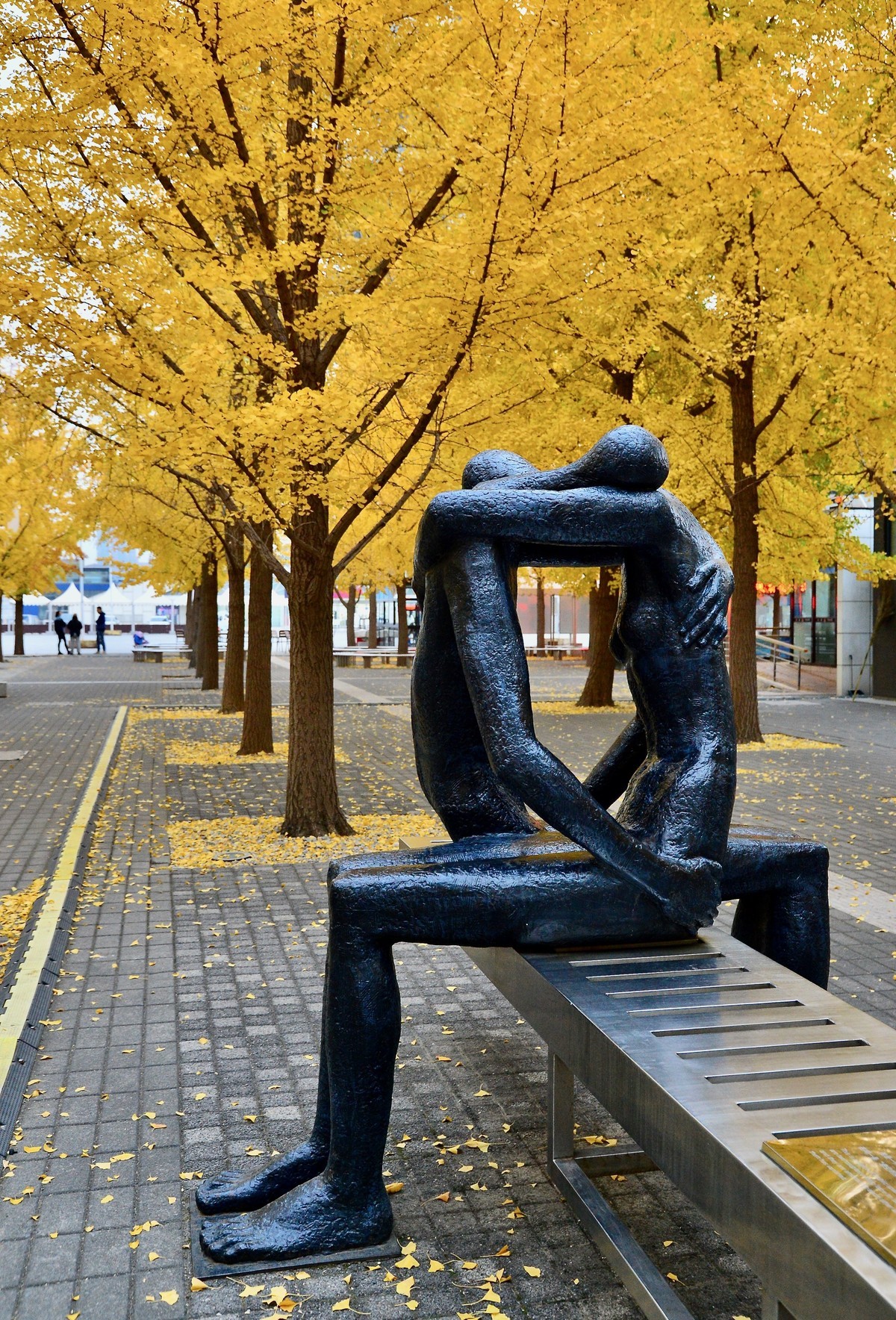 爱在深秋，拍于鸟巢