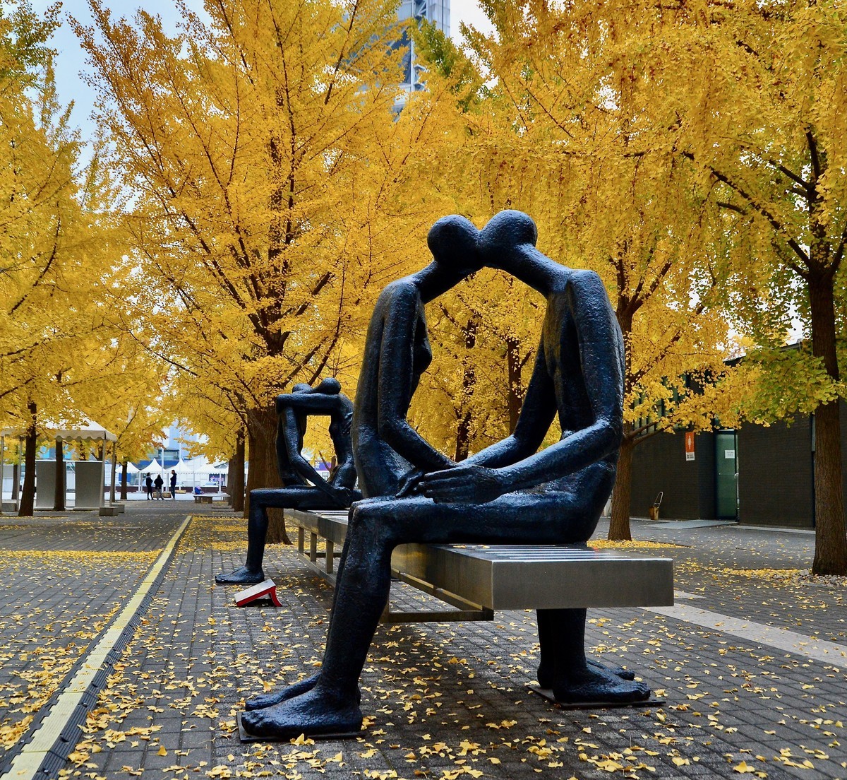 爱在深秋，拍于鸟巢