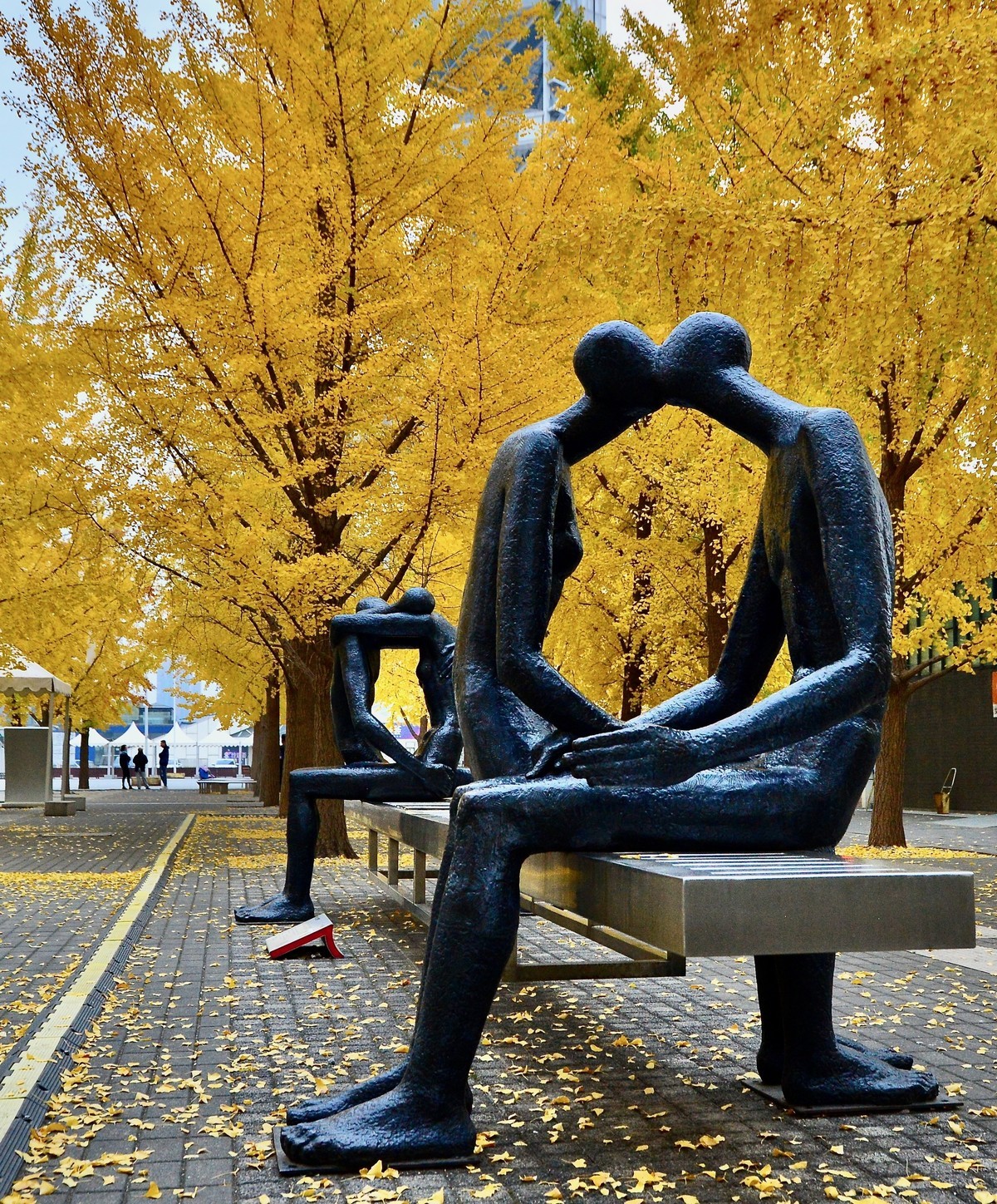 爱在深秋，拍于鸟巢