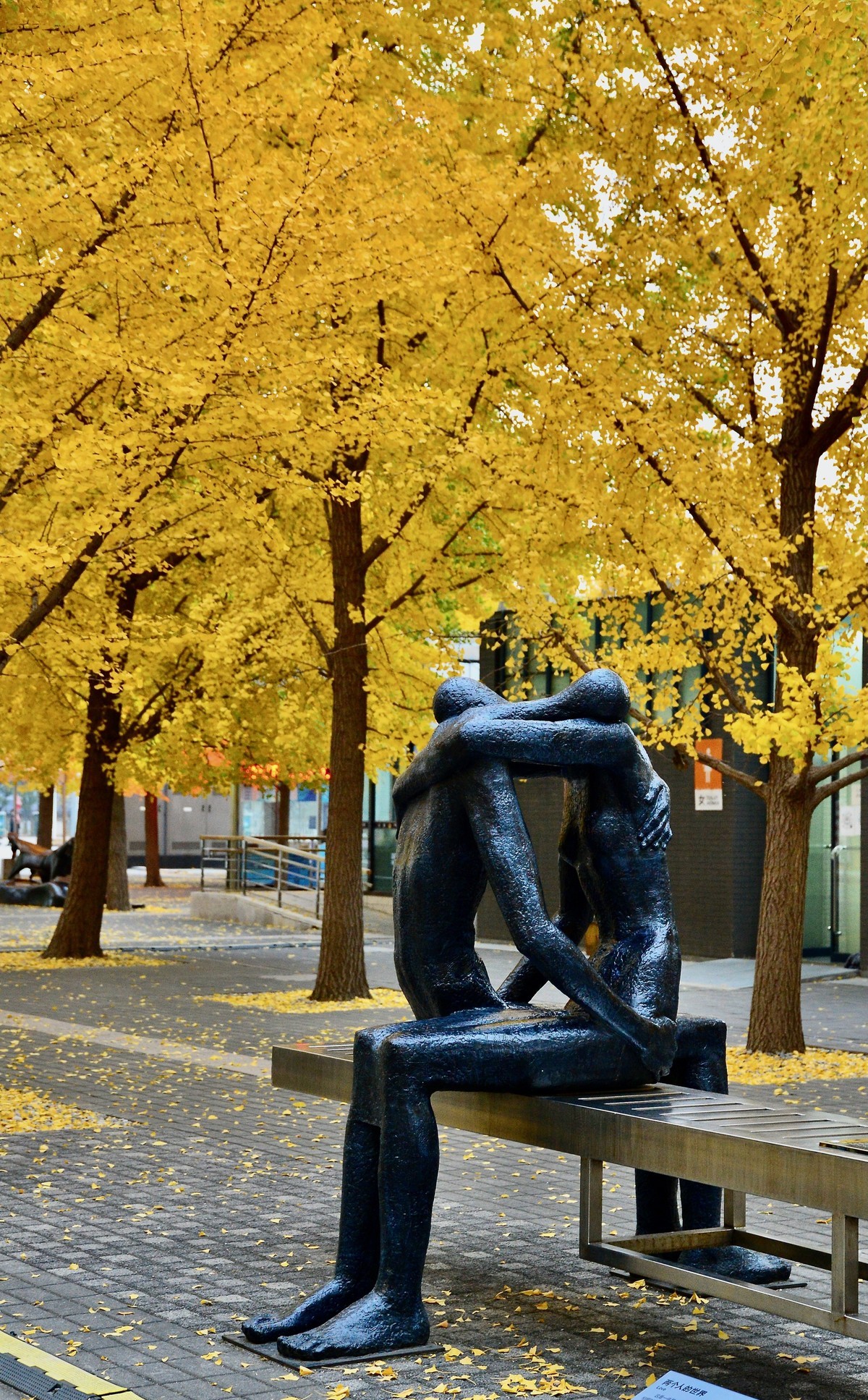 爱在深秋，拍于鸟巢