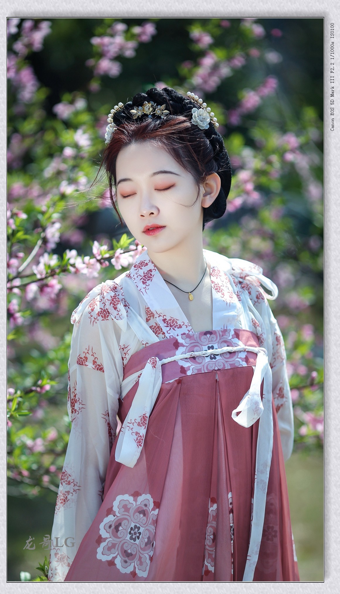 《春满校园系列》之七-----桃之夭夭，灼灼其华