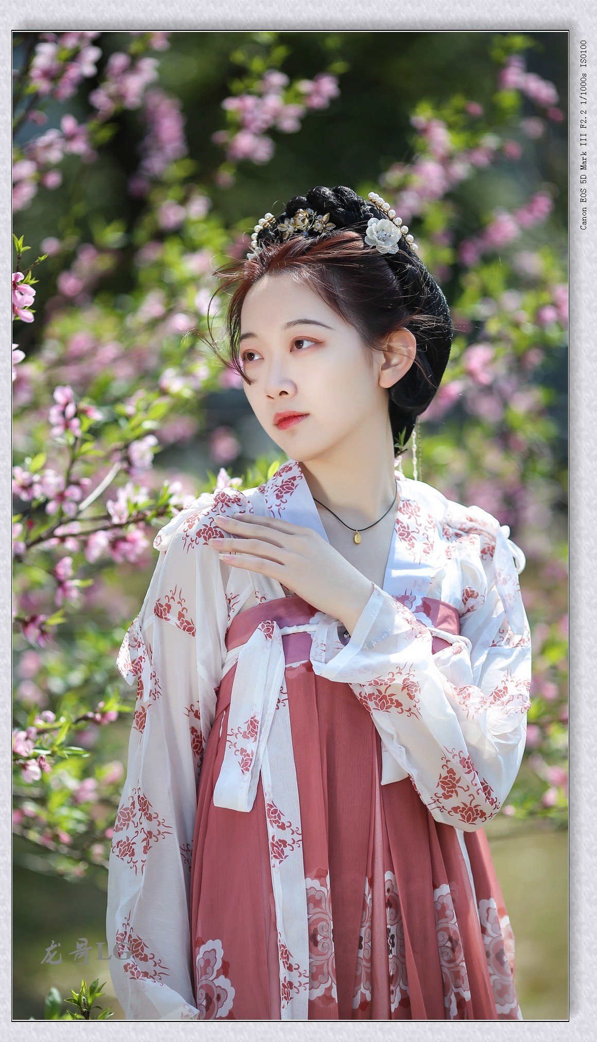 《春满校园系列》之七-----桃之夭夭，灼灼其华