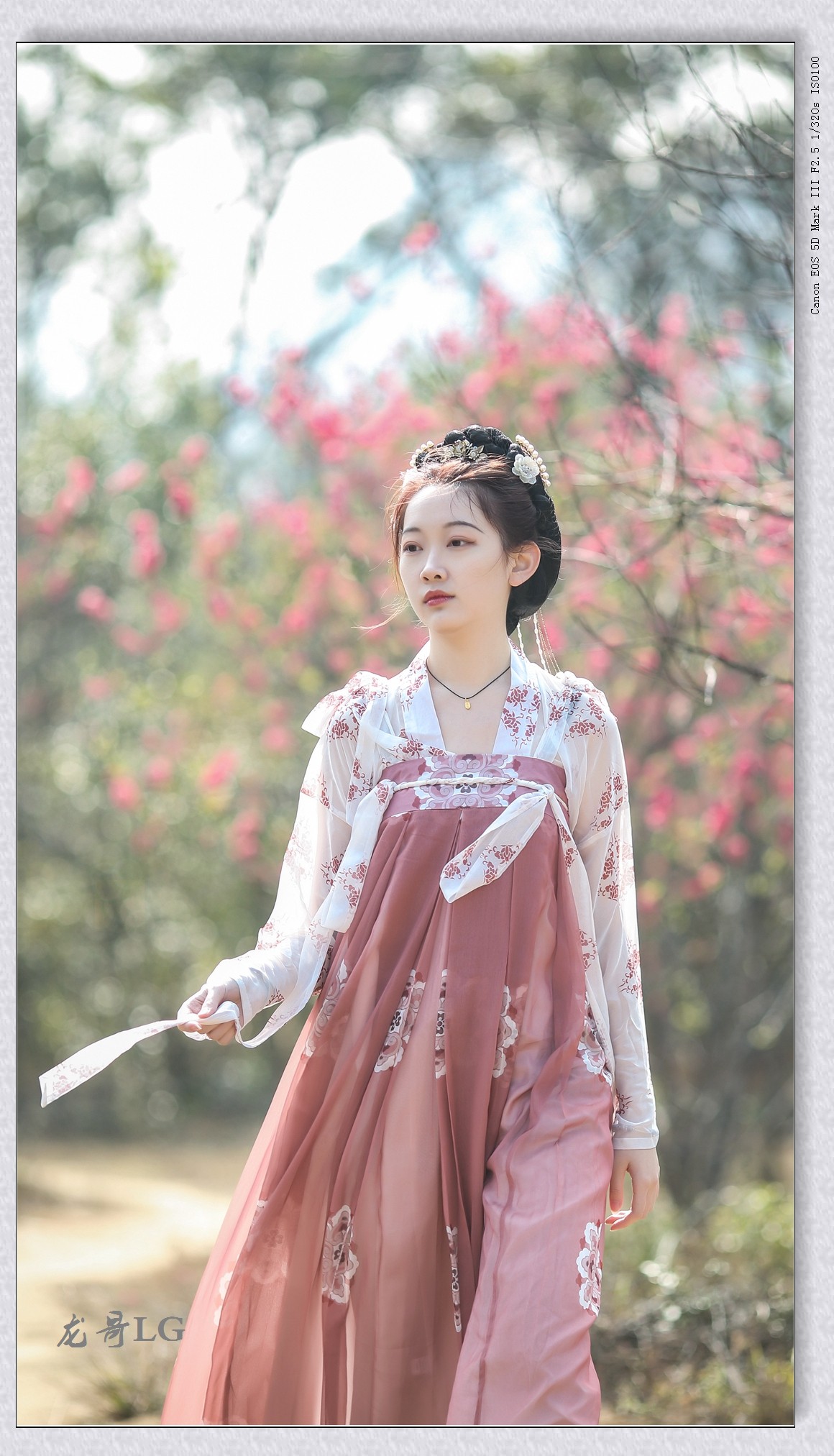 《春满校园系列》之七-----桃之夭夭，灼灼其华