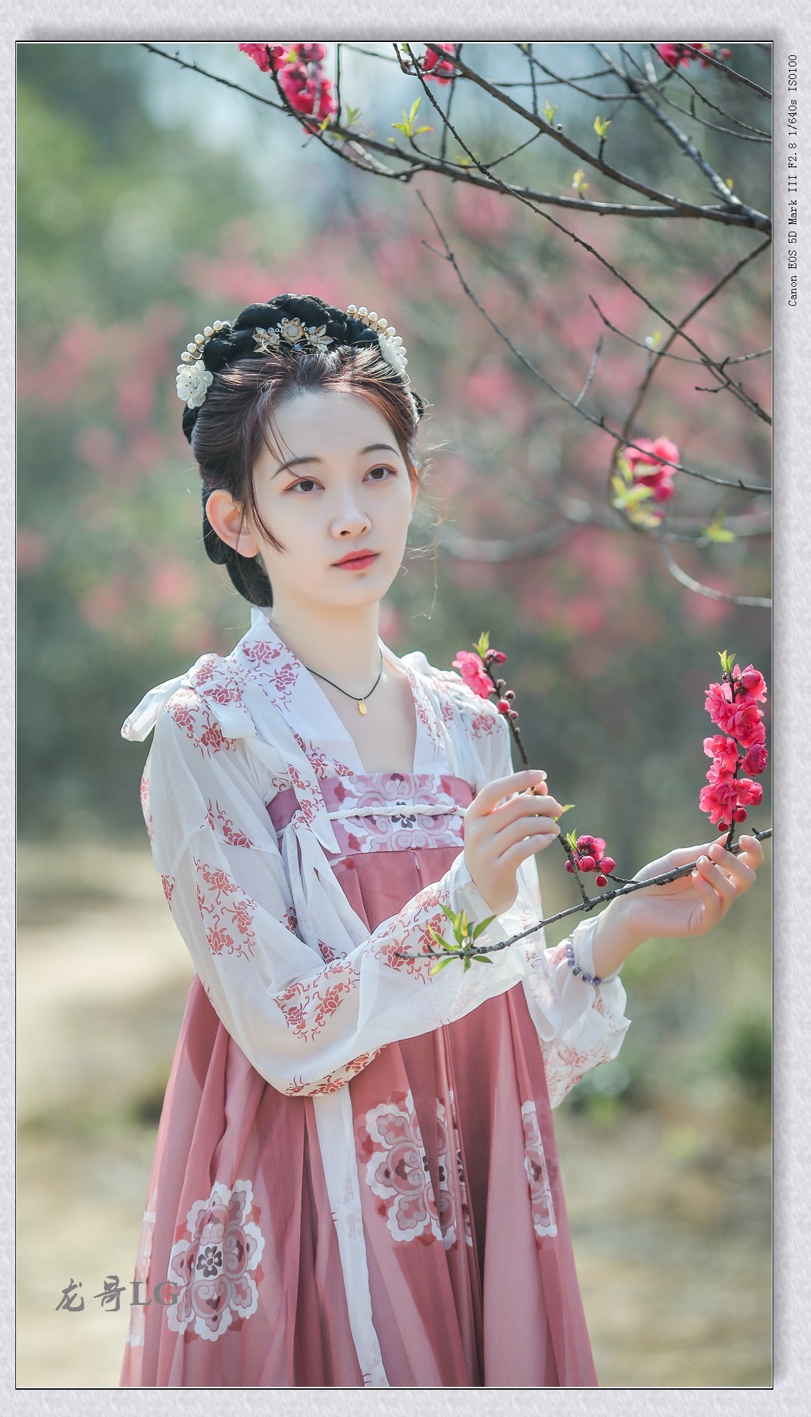 《春满校园系列》之七-----桃之夭夭，灼灼其华