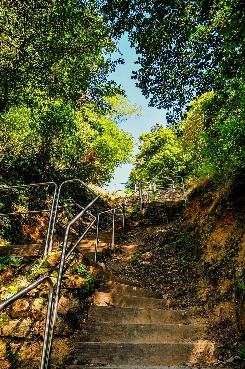 弗莱堡掠影（德国之西南重镇）