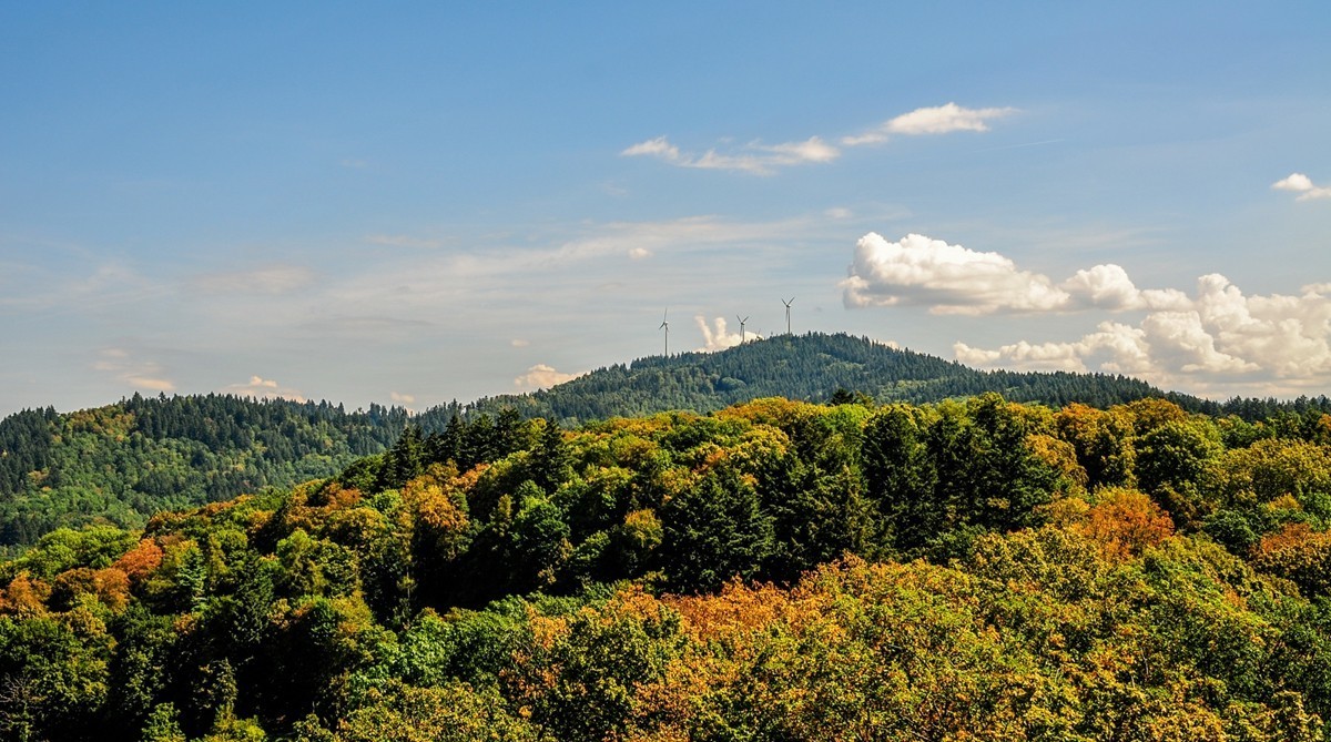 弗莱堡掠影（德国之西南重镇）