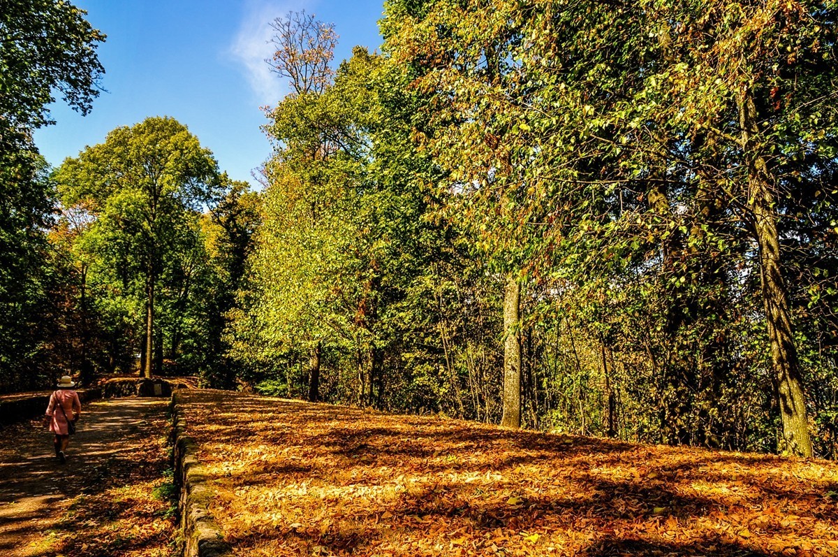 弗莱堡掠影（德国之西南重镇）