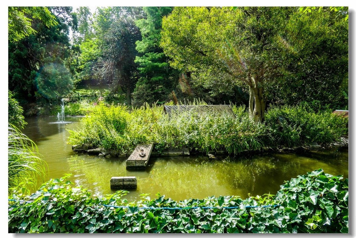 南德之休闲疗养小镇——Badenweiler