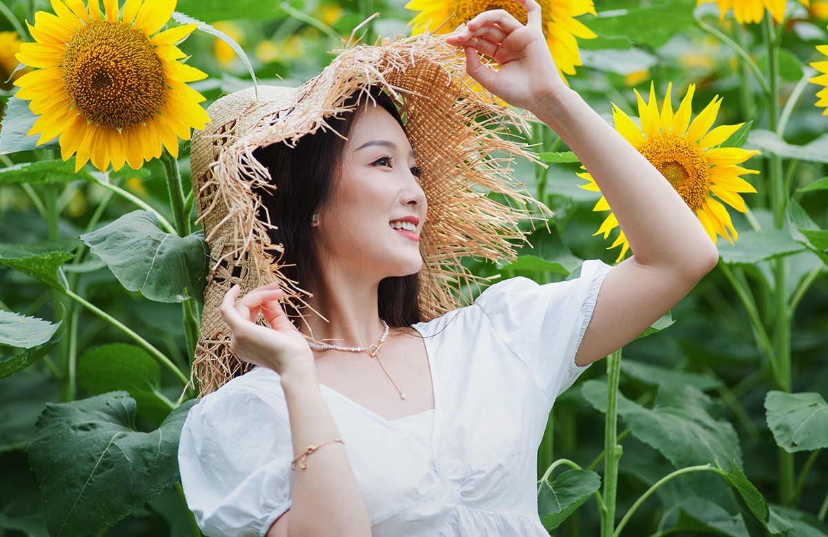 快乐留在葵花园中