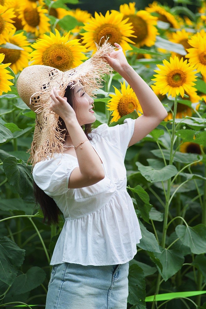 快乐留在葵花园中