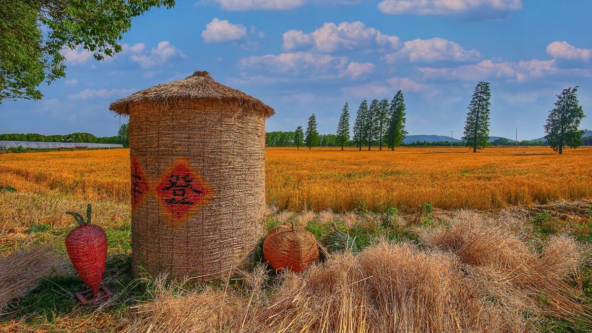 大佛脚下丰收年