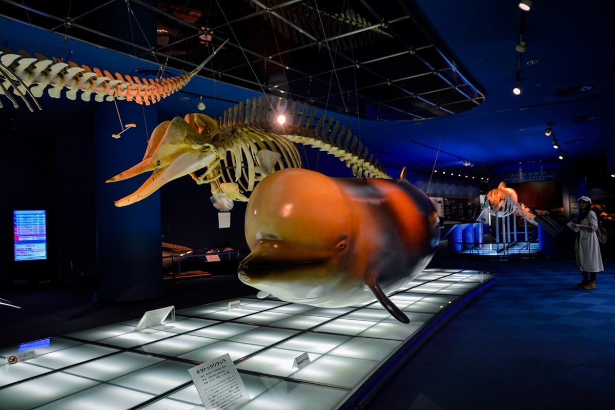 2019年名古屋随拍-24