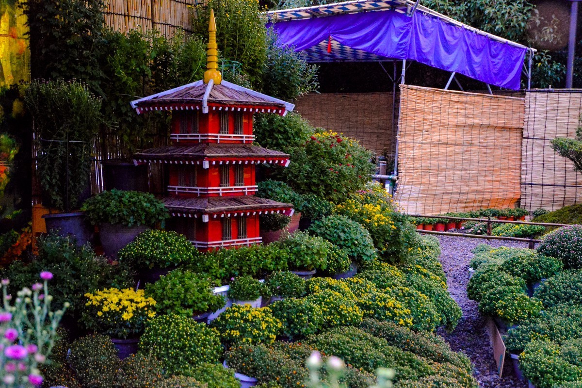 2019年名古屋随拍-24