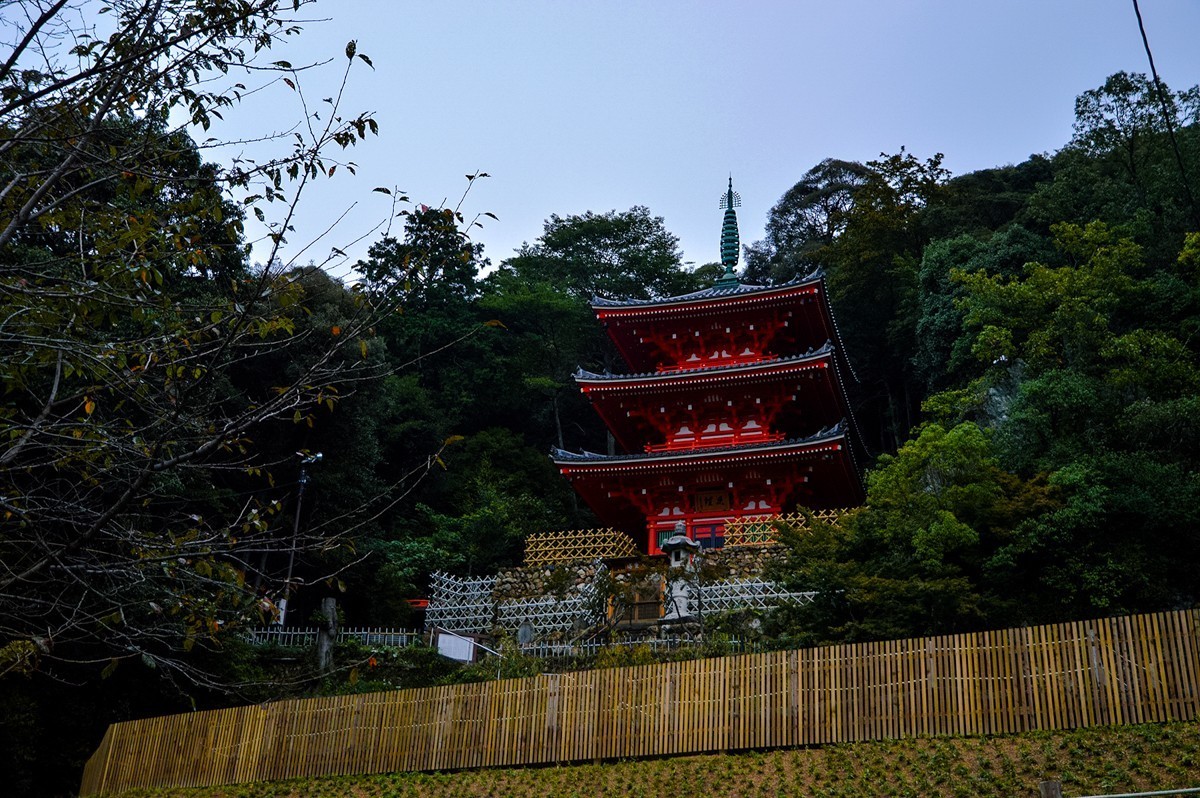 2019年名古屋随拍-24