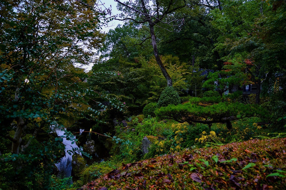 2019年名古屋随拍-24