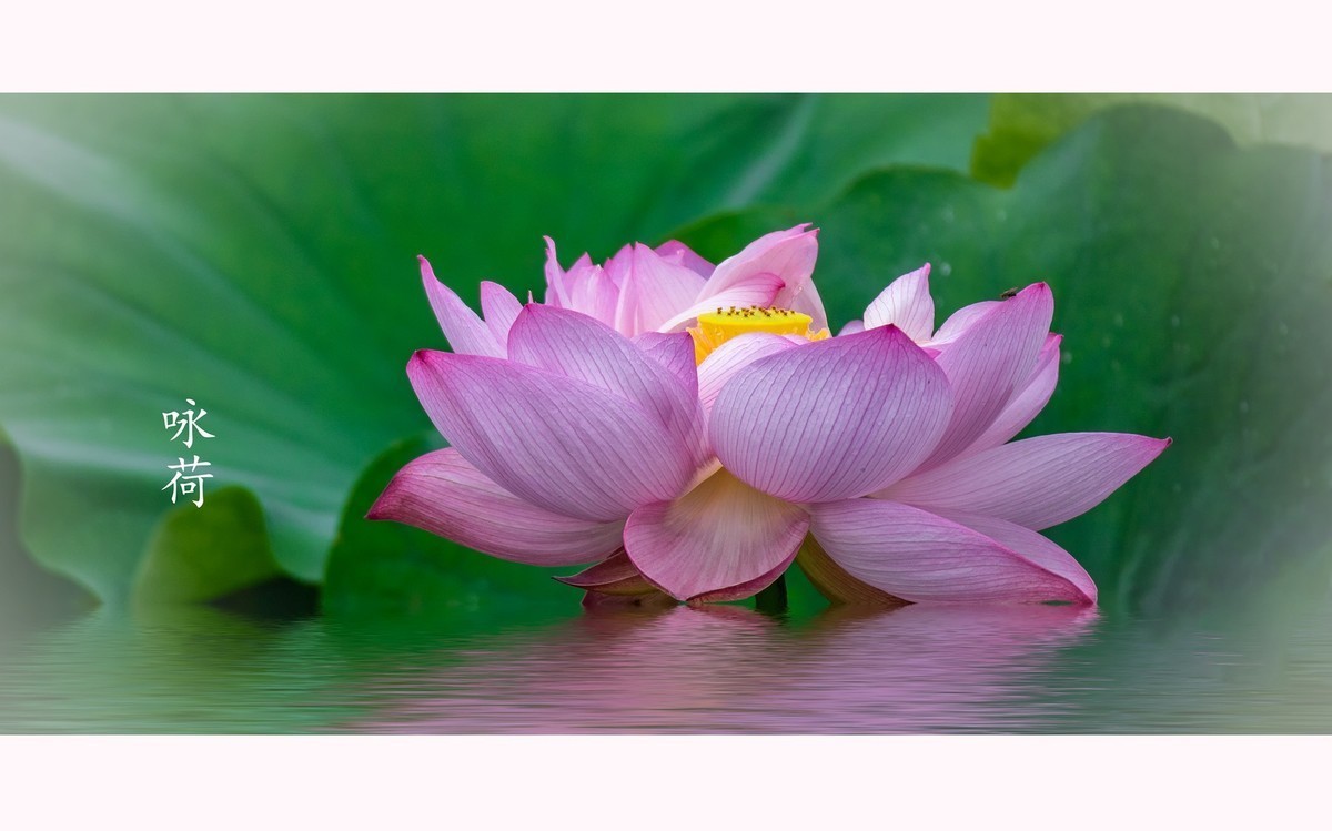 #合肥摄影星空(中国)精华展示#