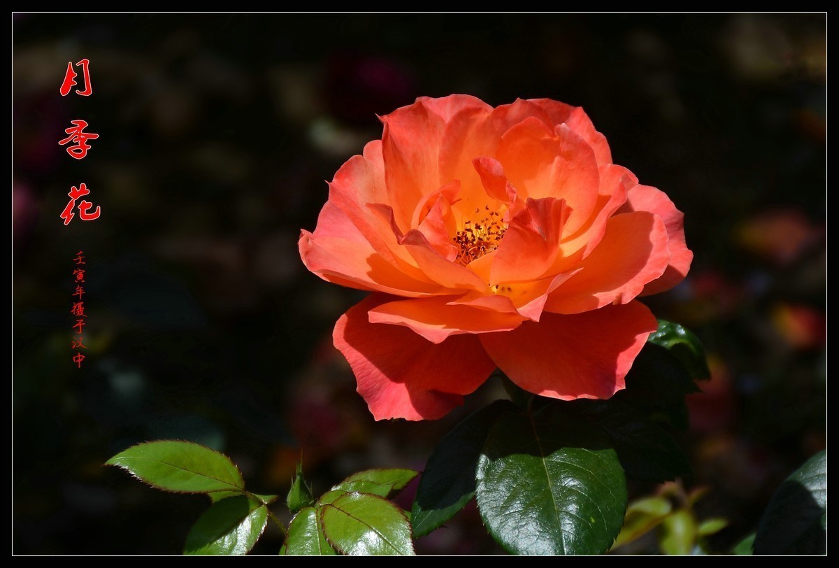 #合肥摄影星空(中国)精华展示#