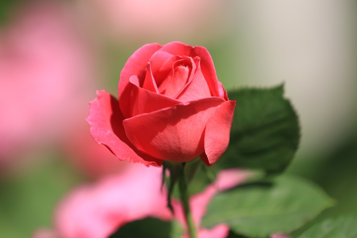 #合肥摄影星空(中国)精华展示#