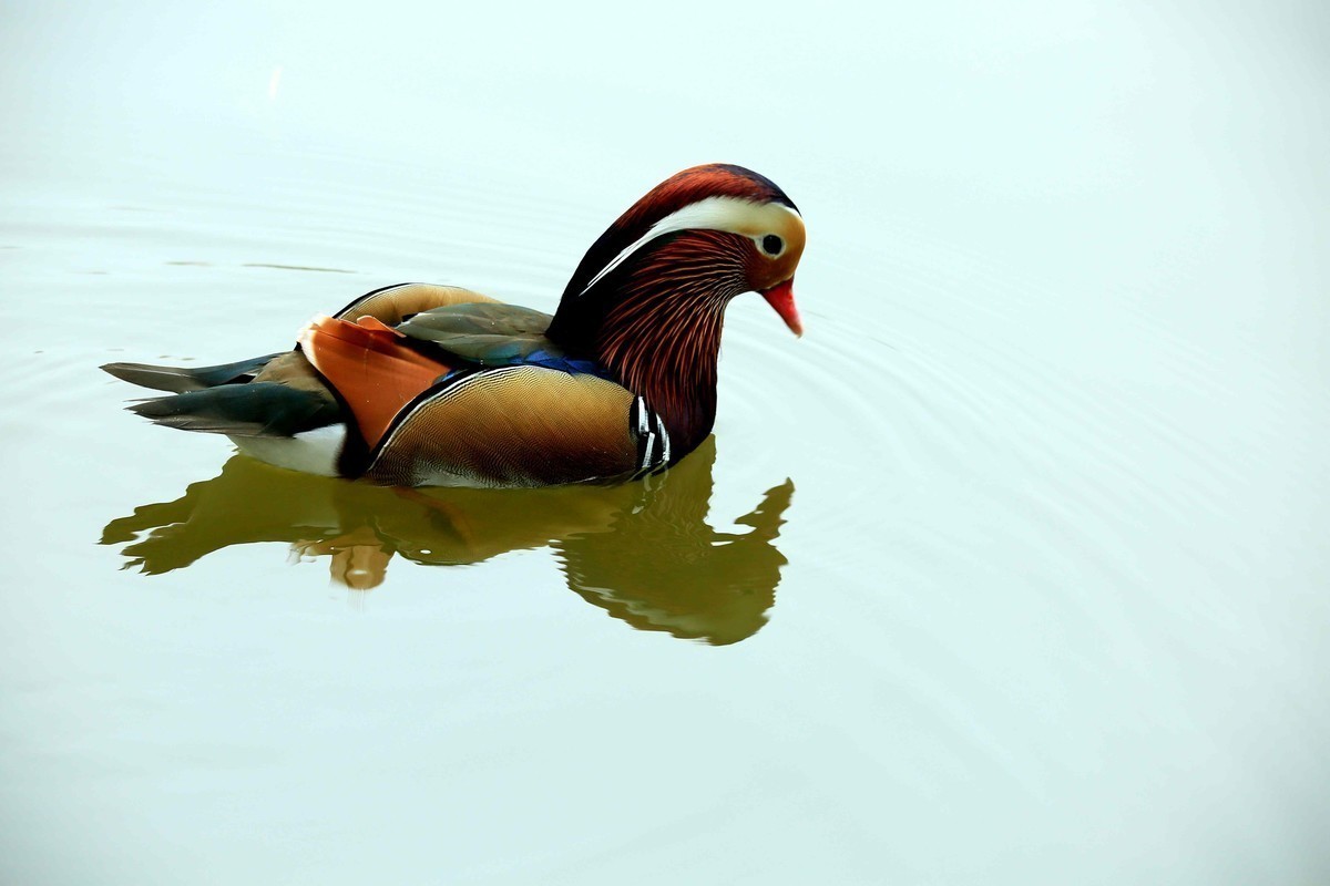 #合肥摄影星空(中国)精华展示#