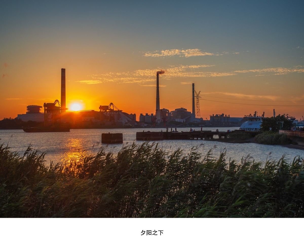 闵浦大桥旁
