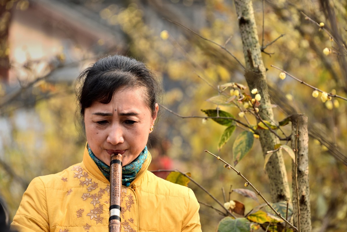 塔子山公园赏梅【3】