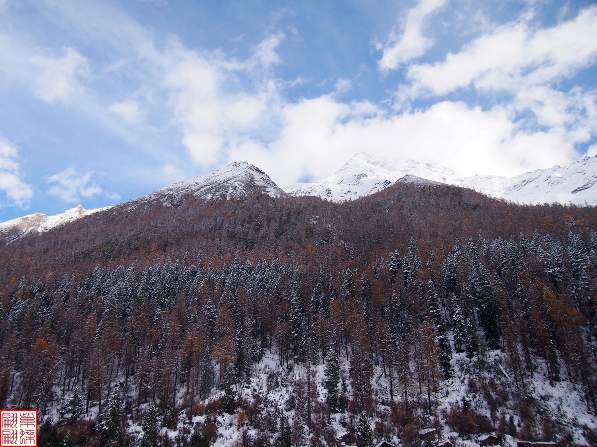 2024.11寻秋（41）