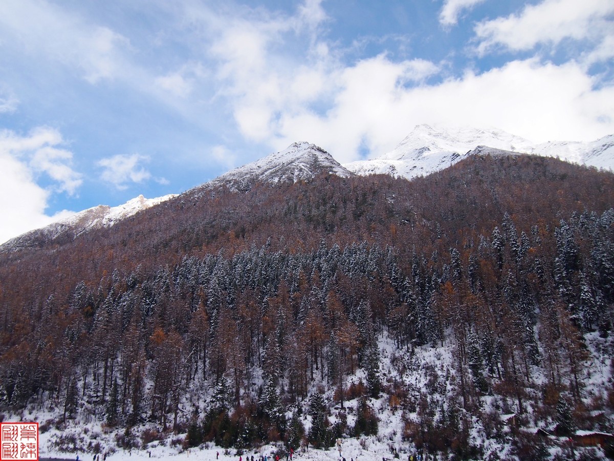 2024.11寻秋（41）