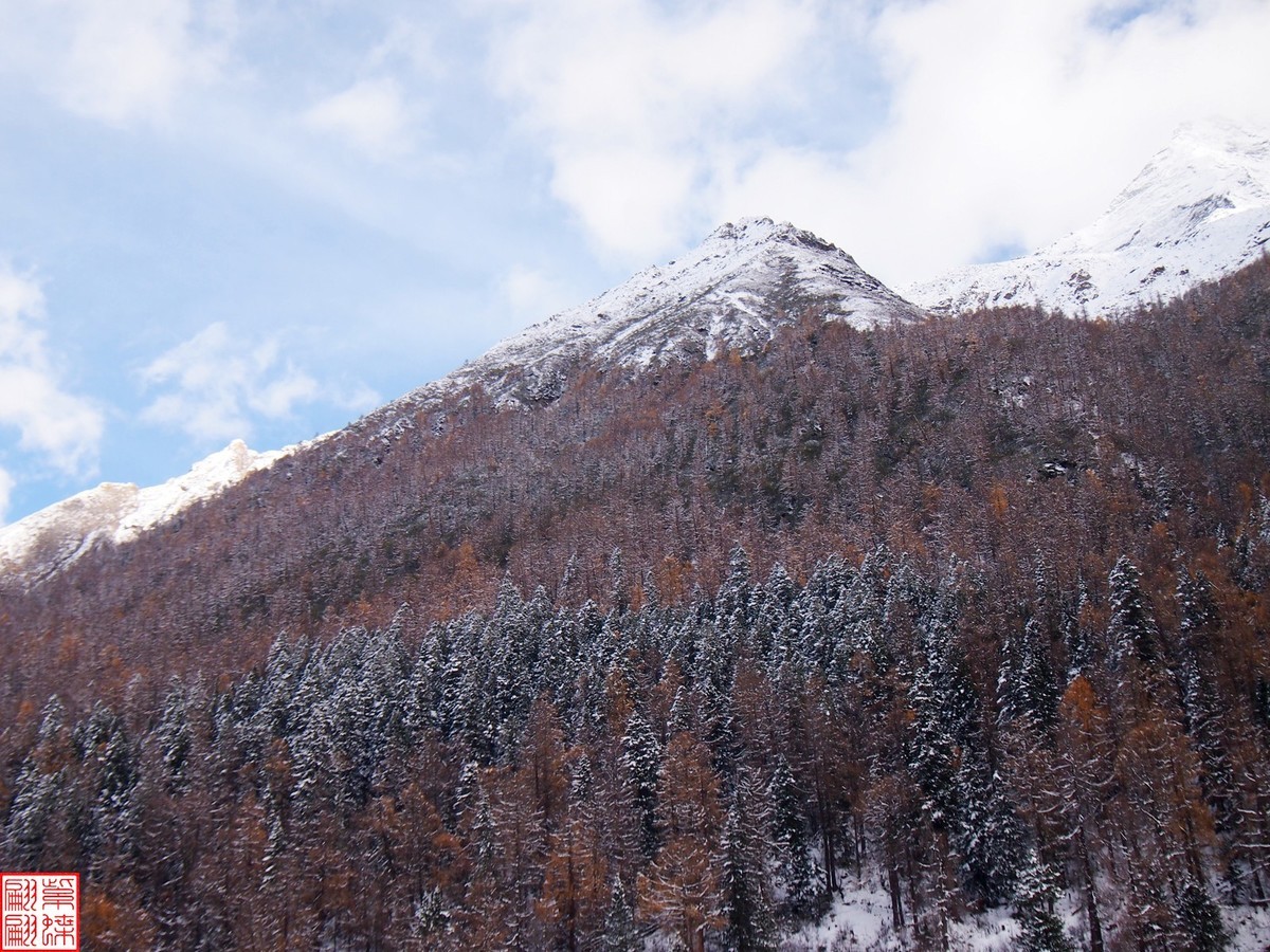 2024.11寻秋（41）