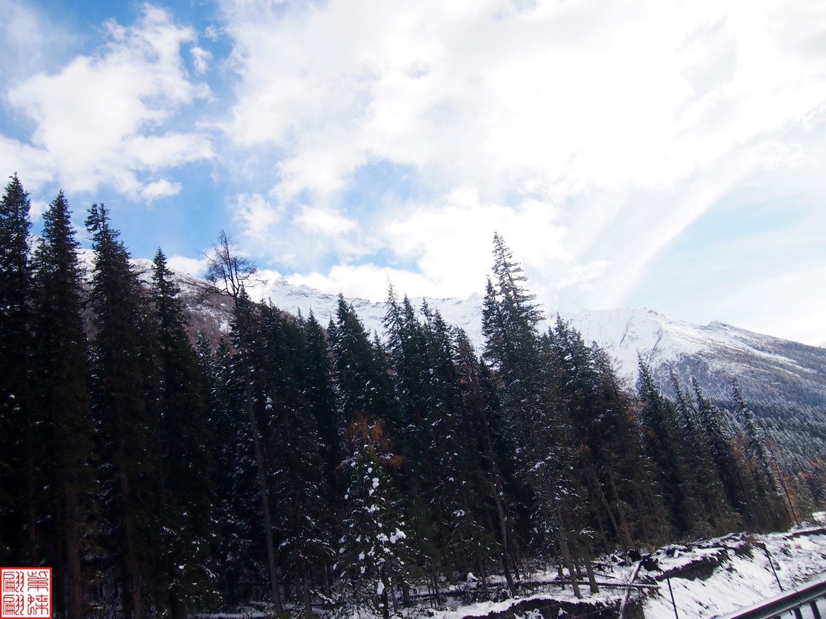 2024.11寻秋（41）