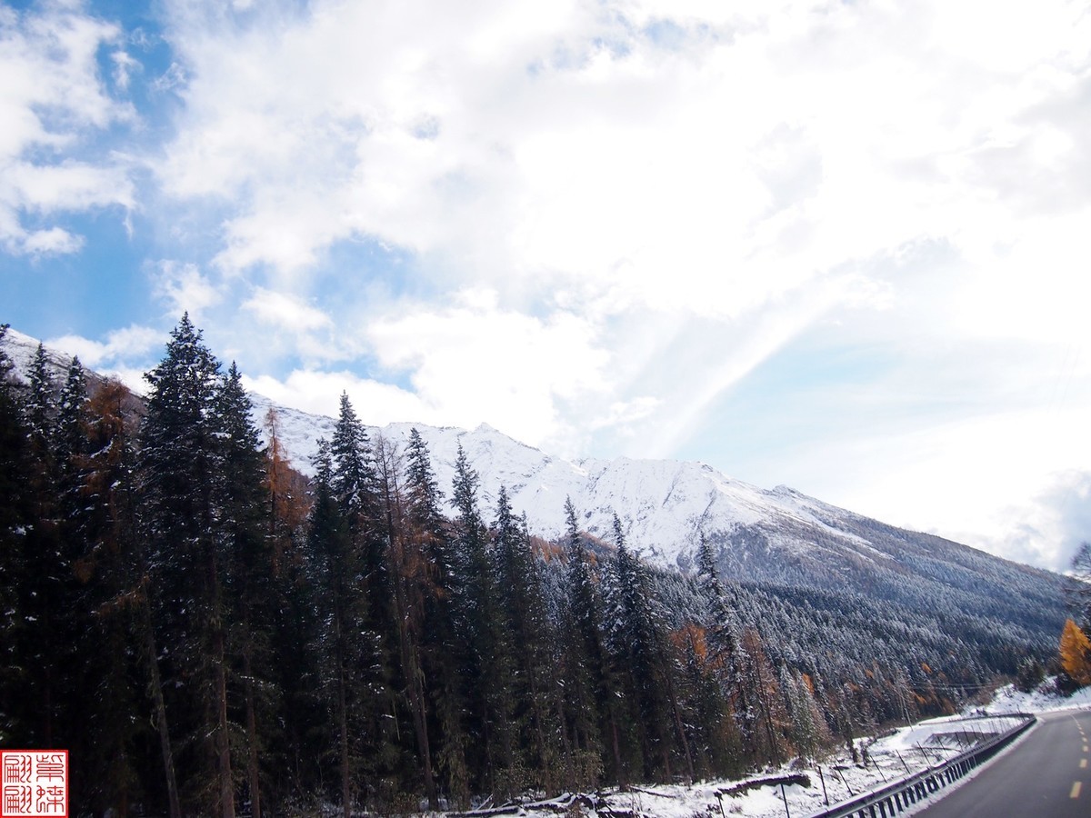 2024.11寻秋（41）