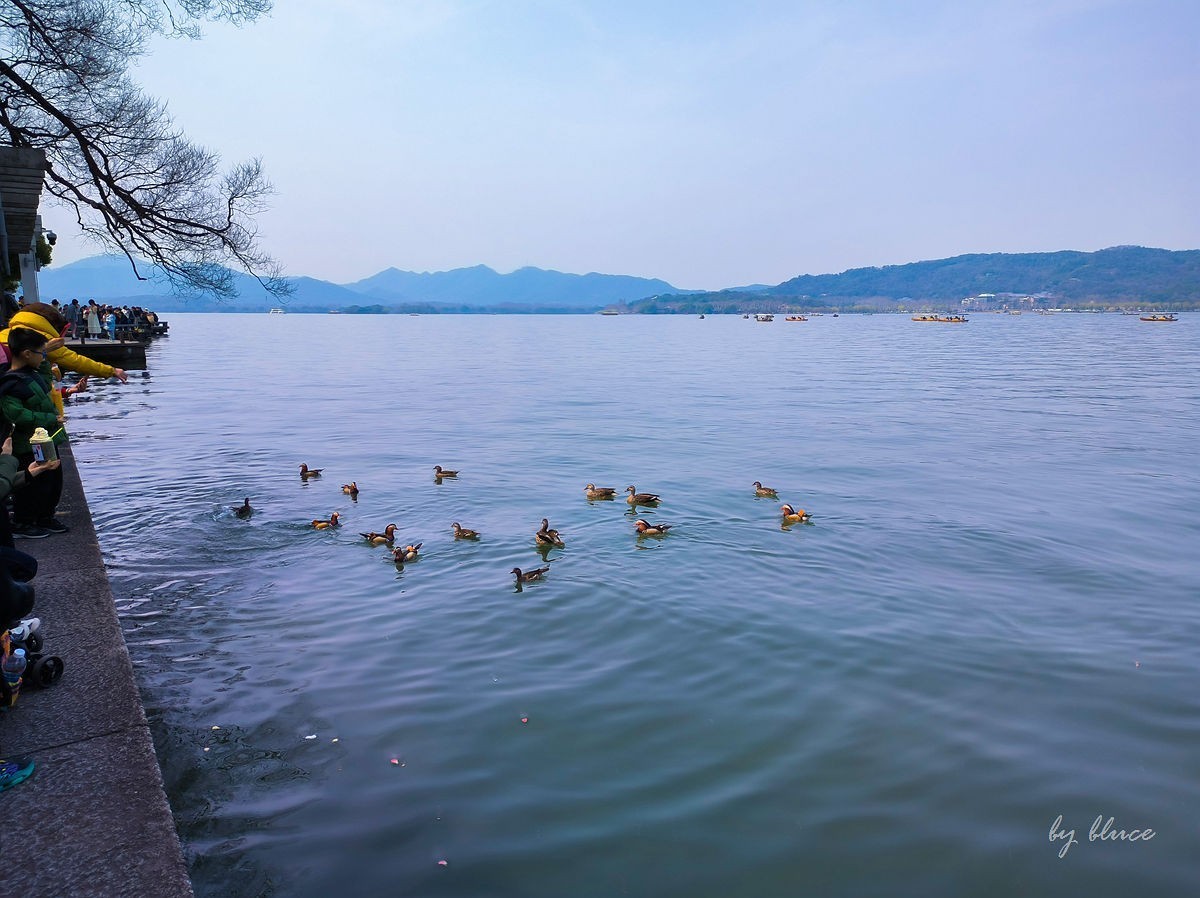 西湖—初春【上】