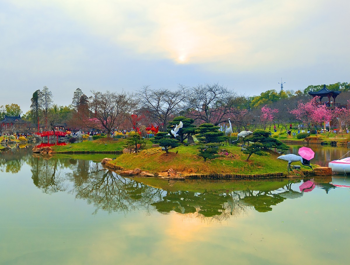 武汉东湖樱花园8