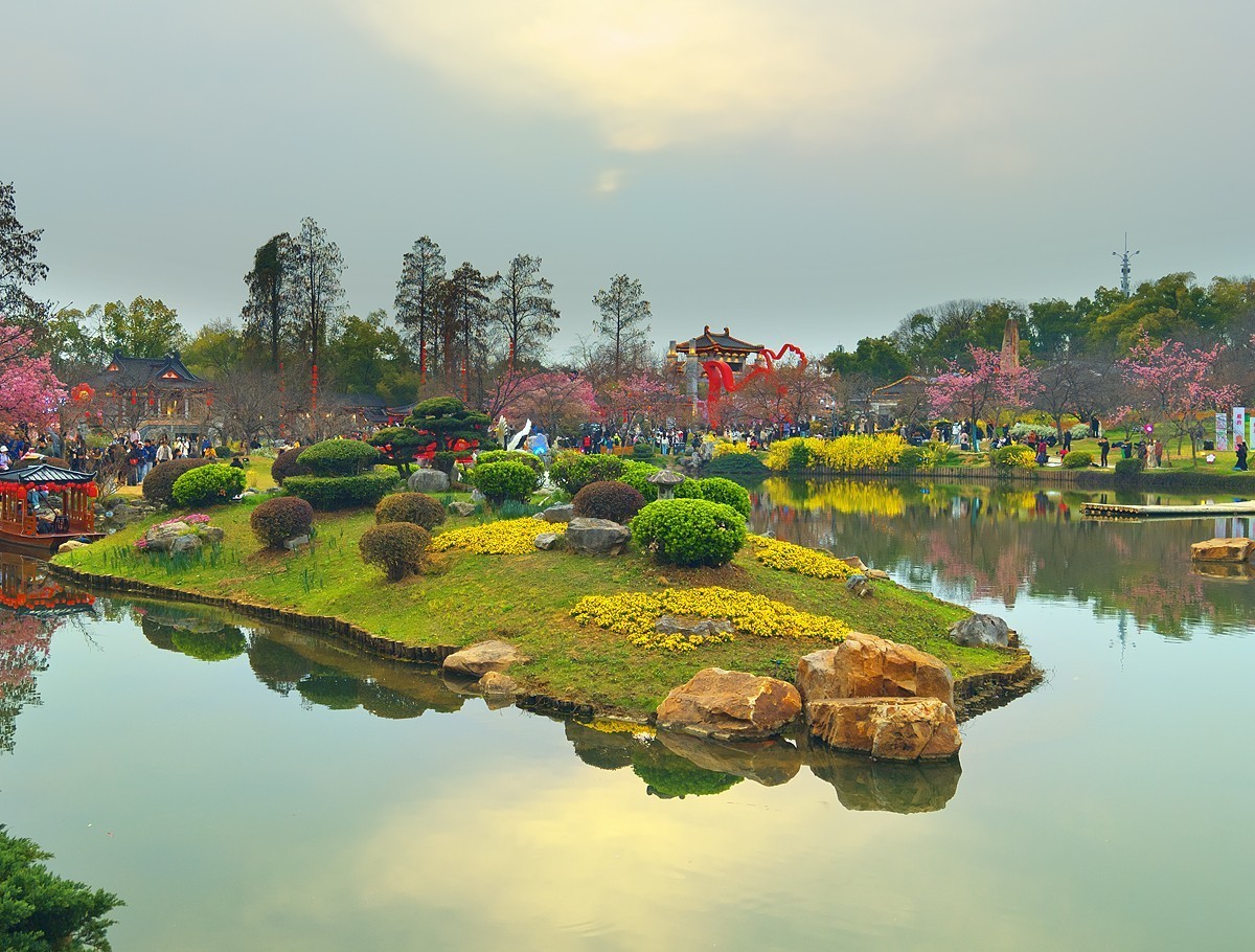 武汉东湖樱花园8