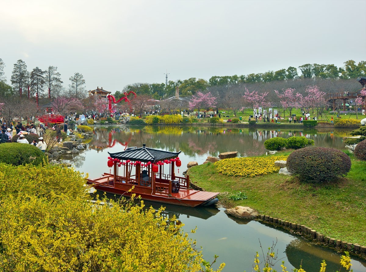 武汉东湖樱花园8